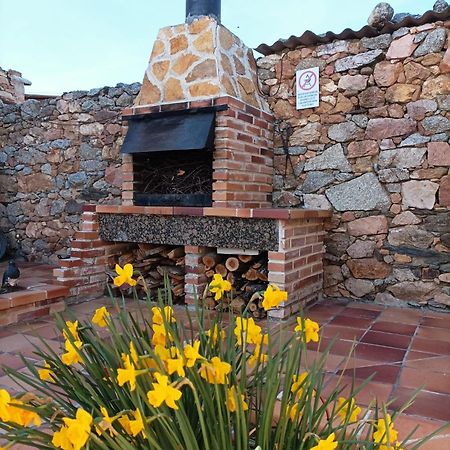 La Casa Del Buho Villa Santa Maria la Real de Nieva Exteriör bild
